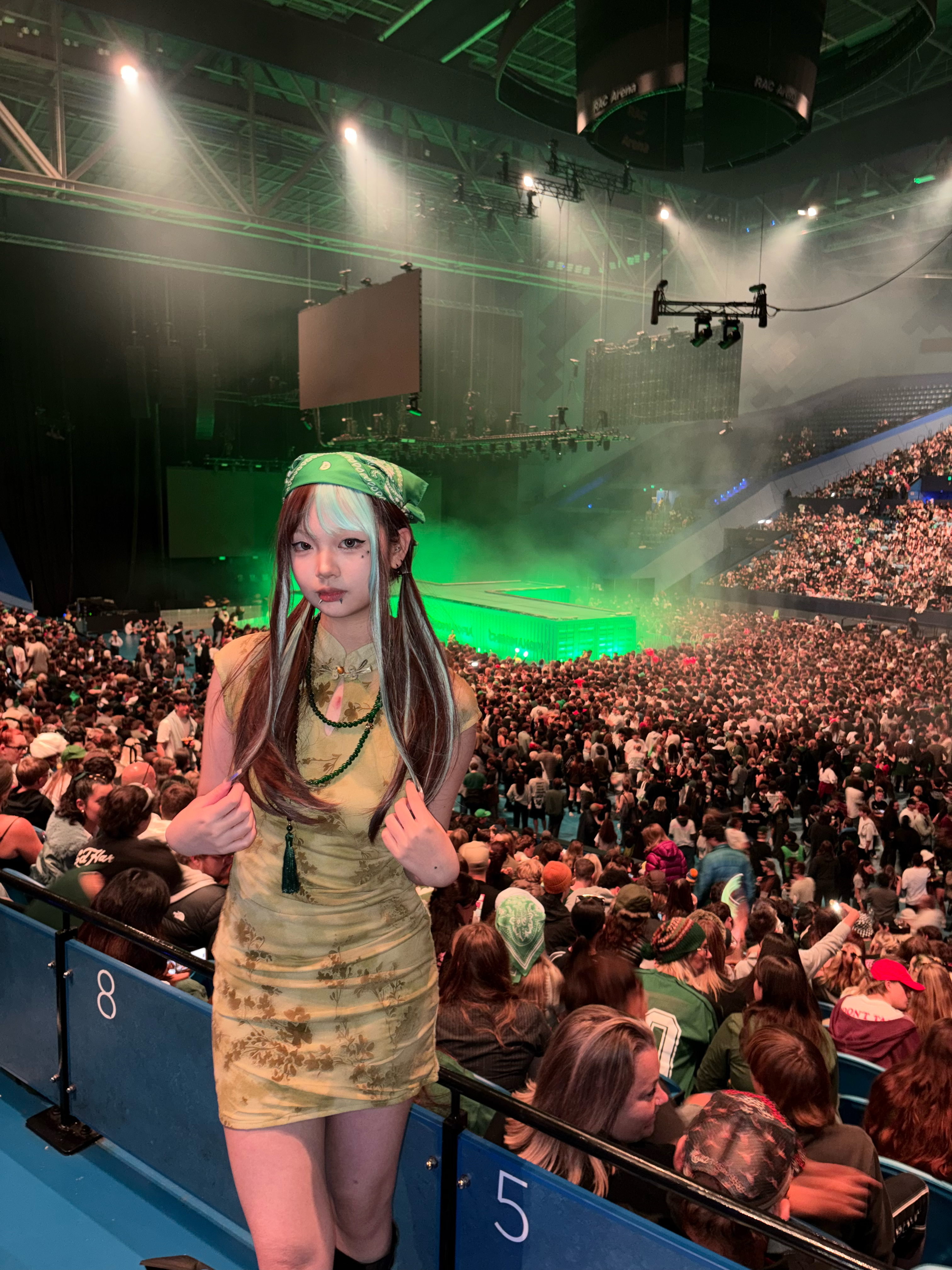 Tyler the Creator concert in Perth